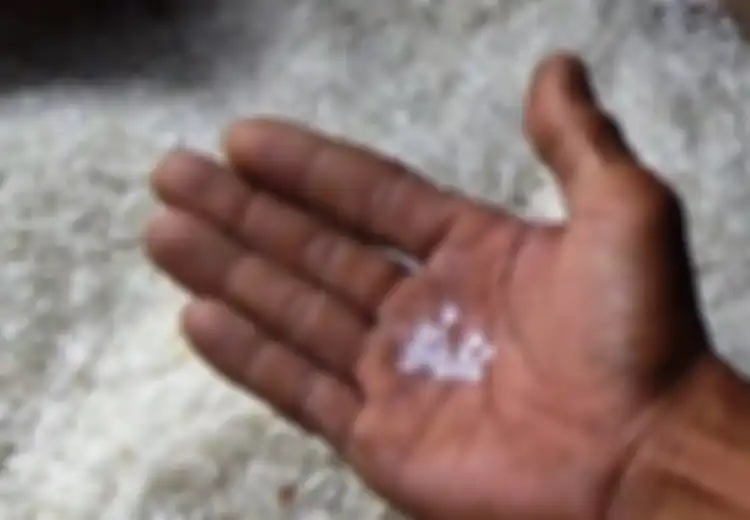 Beras Bansos Tercampur Biji Plastik, Polisi Kini Tengah Dalami Dugaan Sabotase Kasus Ini, Simak Selengkapnya