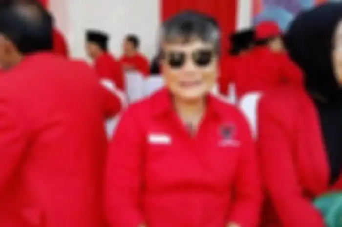 Anggota Komisi IX DPR RI Fraksi PDI Perjuangan (PDIP) Ribka Tjiptaning.