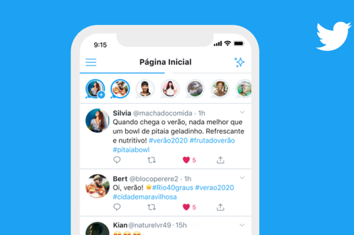 Twitter Fleets
