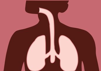 Contoh Pertanyaan Sistem Pernapasan Manusia Berawalan Apa, Kunci Jawaban Kelas 5 SD Tema 2 Tentang Pernapasan