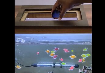 7 Arti Mimpi Memberi Makan Ikan, Benarkah Simbol Kekayaan dan Kemakmuran?