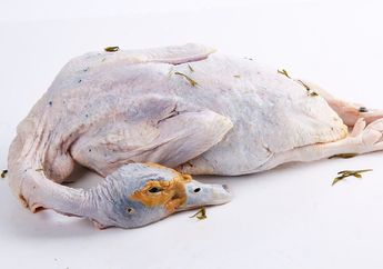 Bocoran dari Pedagang Langsung, Daging Bebek Ternyata Tidak Boleh Dimasak Sembarangan, Kalau Sampai Salah Bisa Rugi Seumur Hidup!