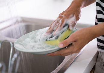 Gawat! Spons Cuci Piring Bisa Bikin Satu Keluarga Sakit-sakitan, Tolong Langsung Buang Sekarang Bila Kondisinya Sudah Begini