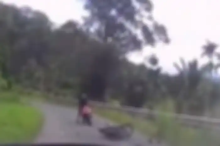 Pemotor terbang usai motornya menabrak keras mobil di tikungan daerah Pasaman, Sumbar.