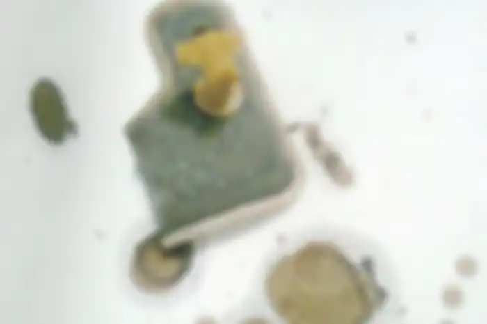 Filter bensin motor injeksi yang mampet