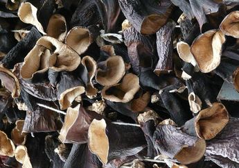 Arti Mimpi Jamur Bawa Banyak Kebahagiaan, Mulai dari Raup Untung Besar hingga Dapat Kejutan Manis