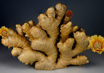 2 WNI Positif Terjangkit Virus Corona, Guru Besar Biologi Molekuler Universitas Airlangga Sebut Bumbu Dapur Ini Bisa Jadi Obatnya!