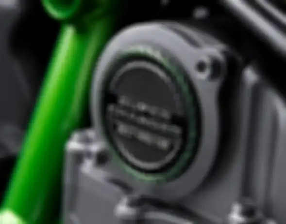  Ninja H2ô Carbon