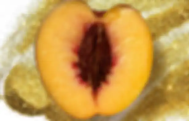 Ilustrasi vagina