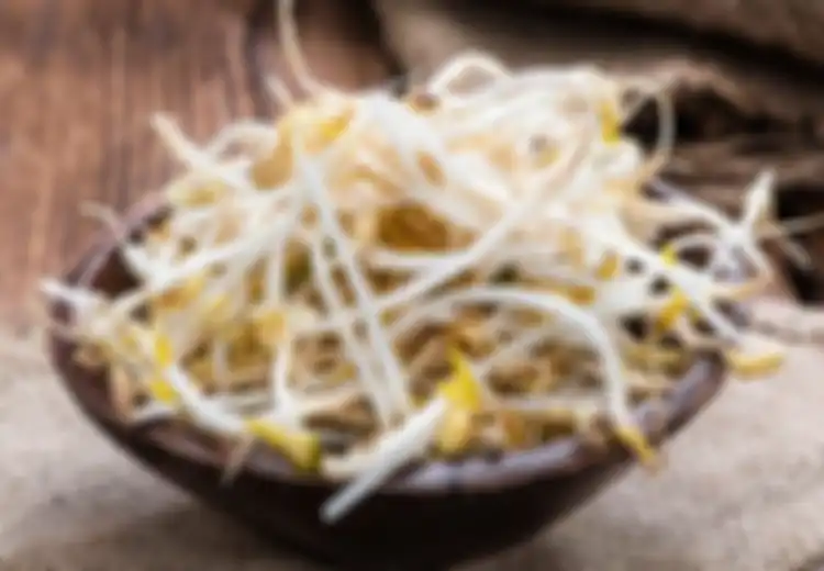 Satu Indonesia Ketipu Semua, Dikira Sehat, Siapa Sangka Kebiasaan Makan Tauge Mentah Seperti Ini Justru Bisa Menimbulkan Malapetaka, Hati-hati!