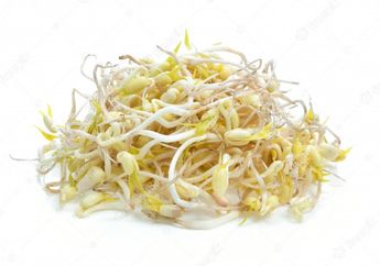 Aduh, Nyesel Baru Tahu! Ternyata Begini Cara Sederhana Menghilangkan Uban Serta Memperkuat Rambut Menggunakan Tauge