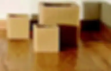 Parket Kayu Solid dan Olahan, Cari Tahu Beda Keduanya di Sini