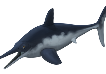 Hidup di Laut, Bagaimana Bisa Fosil Ichthyosaurus Ditemukan di Pegunungan Alpen?