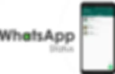 WhatsApp Status Bakal Kedatangan Fitur Edit Foto dari IG Stories