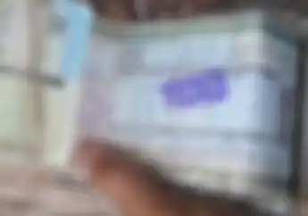 Catat 7 Wilayah Gelar Pemutihan 2023, Bebas Denda Pajak Bikin Tenang