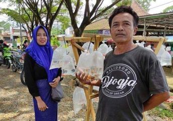 Umur Hanya Bilangan Belaka, Gadis Ini Mantap Nikahi Kakek yang Lebih Tua 40 Tahun Penjual Ikan Hias Asal Banjarnegara, Begini Kisah Rumah Tangganya!