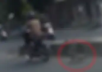 Sadis Banget, Video Anjing Mungil Diseret Motor di Jalan Raya Bandar Lampung