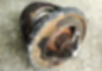  Perhatikan Hal-hal berikut Supaya Thermostat Motor Awet