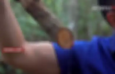 Jadi, Seperti Inilah Wujud Bajakah, Tumbuhan yang Terbukti Ampuh Obati Kanker dari Kalimantan