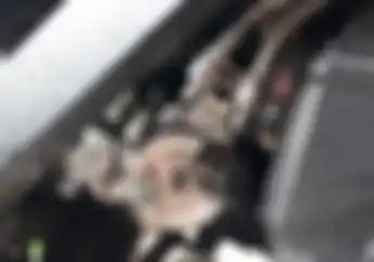 Jarang yang Paham, Begini Solusi Kabel Gas atau Kopling Keras dan Gampang Putus