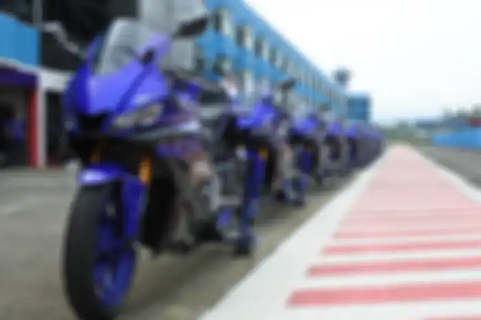 Yamaha New R25