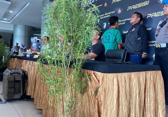 Budidaya Ganja dari Maret 2023, Oge Arthemus Terancam Hukuman Mati