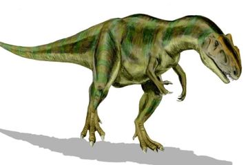 5 Dinosaurus Paling Mematikan