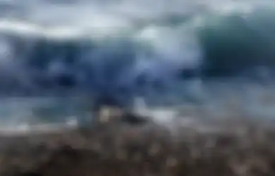 Hasil Kajian Sebut Potensi Tsunami 20 Meter di Selatan Jawa, Pakar: 'Tidak Terlalu Lama Lagi Akan Terjadi'