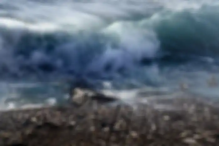 Ilustrasi tsunami