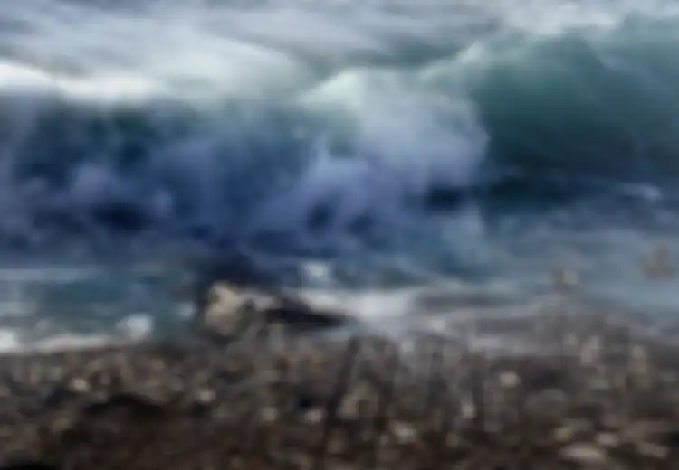 Hasil Kajian Sebut Potensi Tsunami 20 Meter di Selatan Jawa, Pakar: 'Tidak Terlalu Lama Lagi Akan Terjadi'