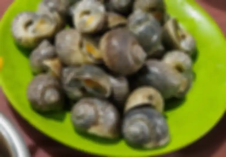 Catat! Ini Bahayanya Makan Siput yang Tidak Benar-benar Matang