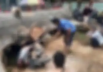 Apes, Motor Honda Vario Belum Lunas Malah Tertimpa Pohon Tumbang di Lampung