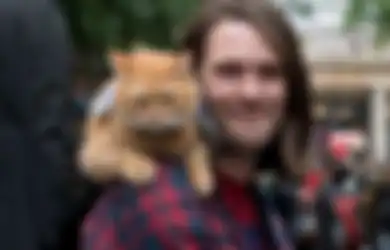 Viral! Bikin Geger Jagat Twitter, Siapa Sangka Kucing Oren Ini Ternyata Bukan Hewan Sembarangan, Terungkap Kisah Heroik Bob si Kucing yang Berhasil Selamatkan Tunawisma di Jalanan