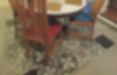 Ada Model Lantai yang Dapat Membedakan Tiap Ruangan, Intip Desainnya yang Unik!