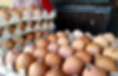 UPDATE Harga Sembako, Badan Pangan Beri Bocoran Harga Telur dan Daging Ayam Pada Akhir 2022