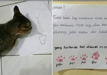 Menggemaskan! Tingkah Kucing-kucing Ini Nyaris Bikin Pemiliknya Hilang Kesabaran, Salah Satu 'Majikan' Sampai Membuat Surat Perjanjian Resmi!