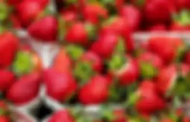 Kurangi Risiko Penyakit, Ini 4 Makanan yang Kaya Antioksidan!