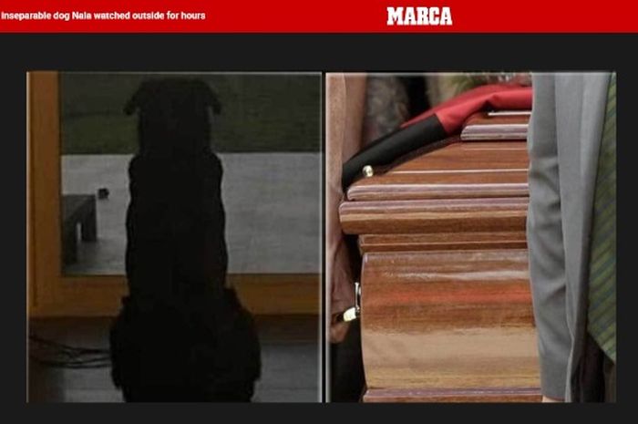 Anjing Peliharaan Emiliano Sala, Nara, meunggu di luar gedung saat seremonial pemakaman majikannya.