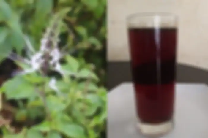 Ini jadinya kalau kita rutin minum air rebusan daun kumis kucing