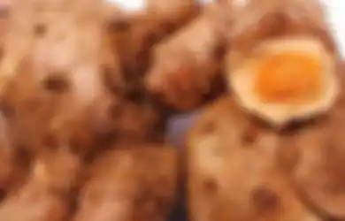 Punya Kandungan Selulosa yang Baik Bagi Pencernaan, Temulawak Bisa Jadi Obat Tradisional Asam Lambung, Begini Cara Meraciknya