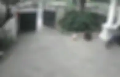 Nyelonong ke Ruang Isolasi untuk Nyolong HP Pasien Positif Corona, Pemuda Ini Langsung Dapat Karma Instan, Diburu Tenaga Medis Bukan untuk Dihakimi Tapi Justru Hal Ini yang Terjadi