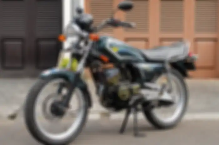 Yamaha RX-King 2001