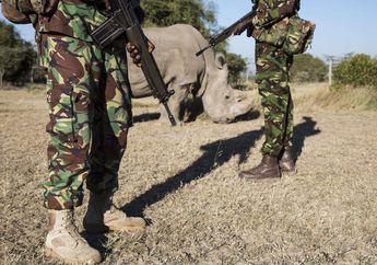 Hanya Ada Satu, Inilah Hewan Paling Berharga di Dunia yang Dijaga Pasukan Militer Bersenjata 24 Jam Penuh