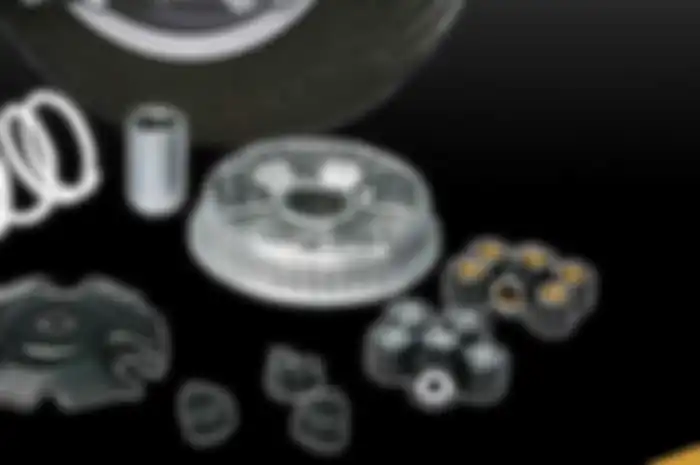Paket Variator Malossi untuk Vespa matic