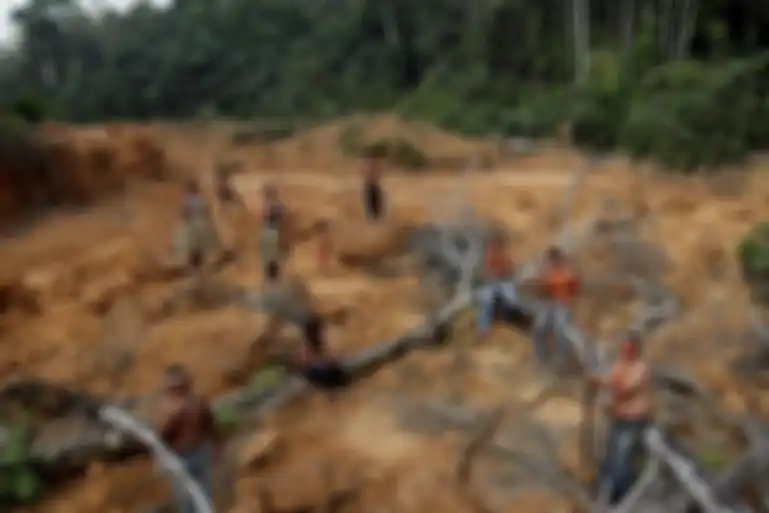 Ketakutan Suku-suku yang Hilang di Amazon: Kami Sedih Karena Hutan Hampir Mati