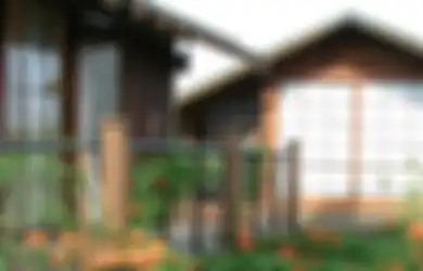 Cantik Sebagai Peneduh Pergola, Ini Dia Jenis Tanaman Rambat yang Cocok Buat Hiasi Rumahmu!