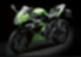 Cocok Untuk Pemula, Harga Bekas Kawasaki Ninja 250 SL Rp 20 Jutaan!