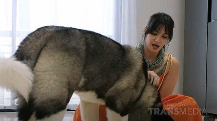 Nia Ramadhani dan anjing peliharaannya