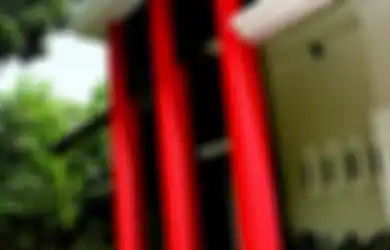 Rumah Minimalis Ini Kelola Panas dengan Pepohonan dan Rumput, Efektif?