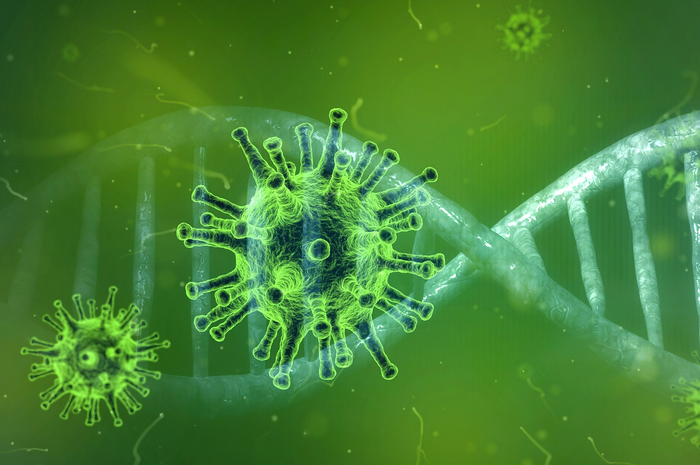 Ilustrasi virus corona yang menyerang organ tubuh